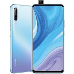P smart Pro 2019