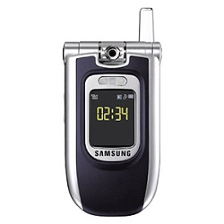 Samsung Z107V