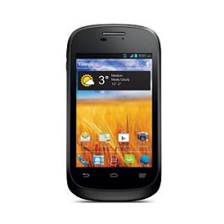 ZTE Director