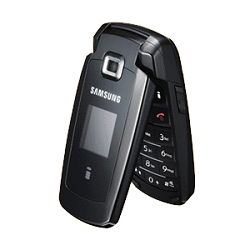 Samsung S401i