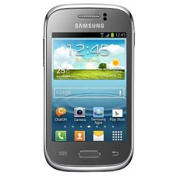 Samsung S6310N