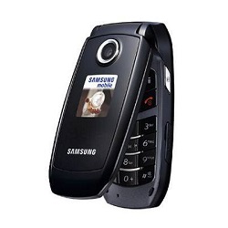 Samsung S501i