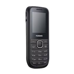 Huawei G3621L