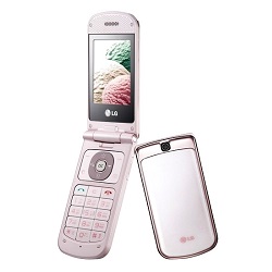 LG GD310
