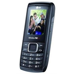 LG GS205